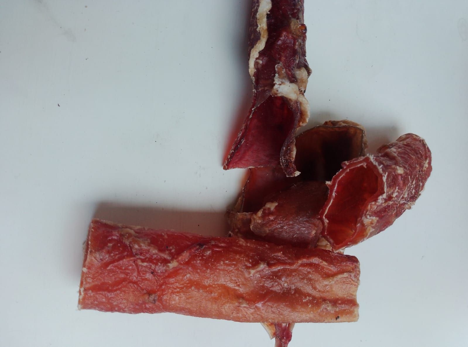 AORTA DESHIDRATADA
