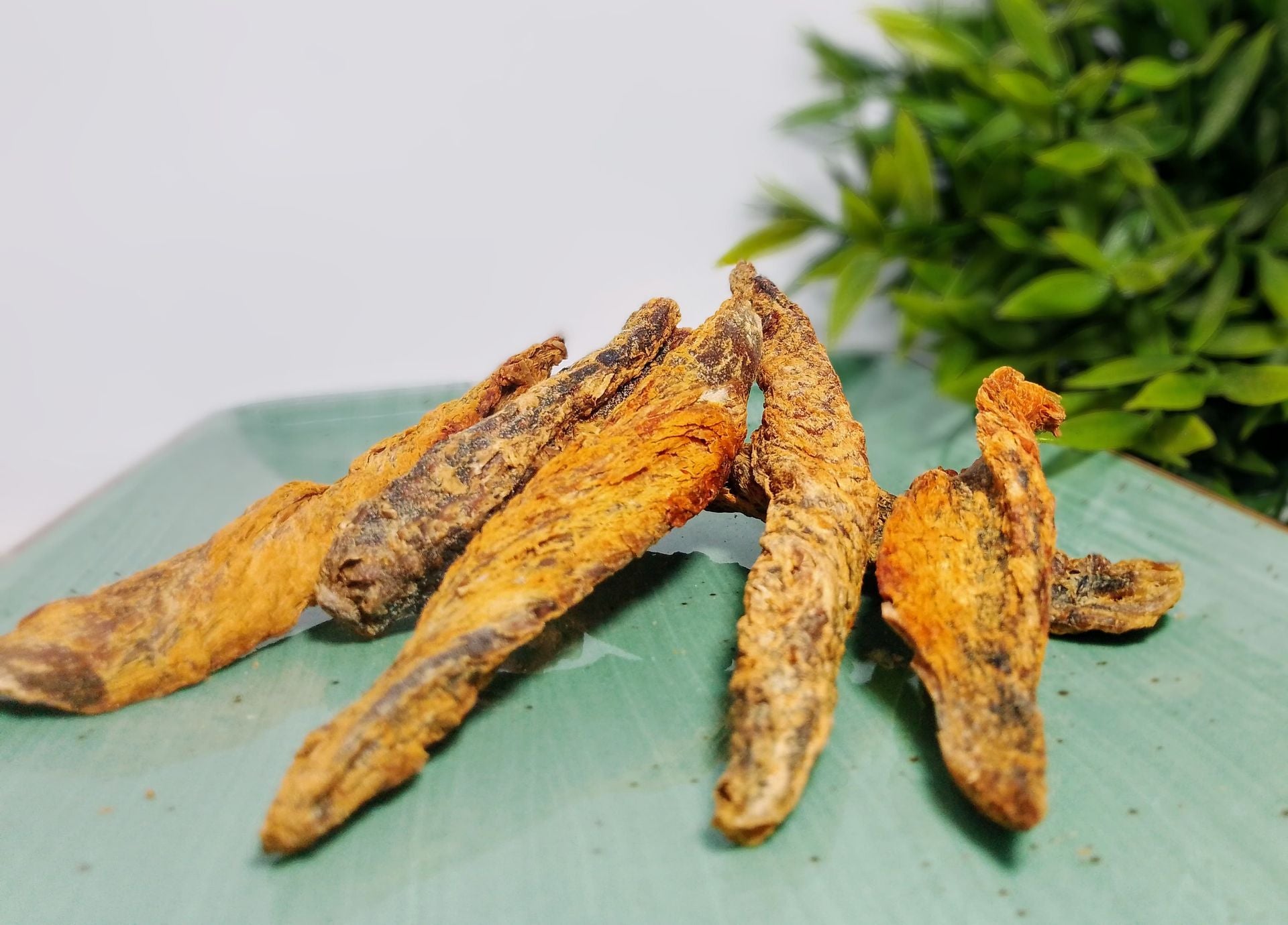FILETITOS DE PESCADO