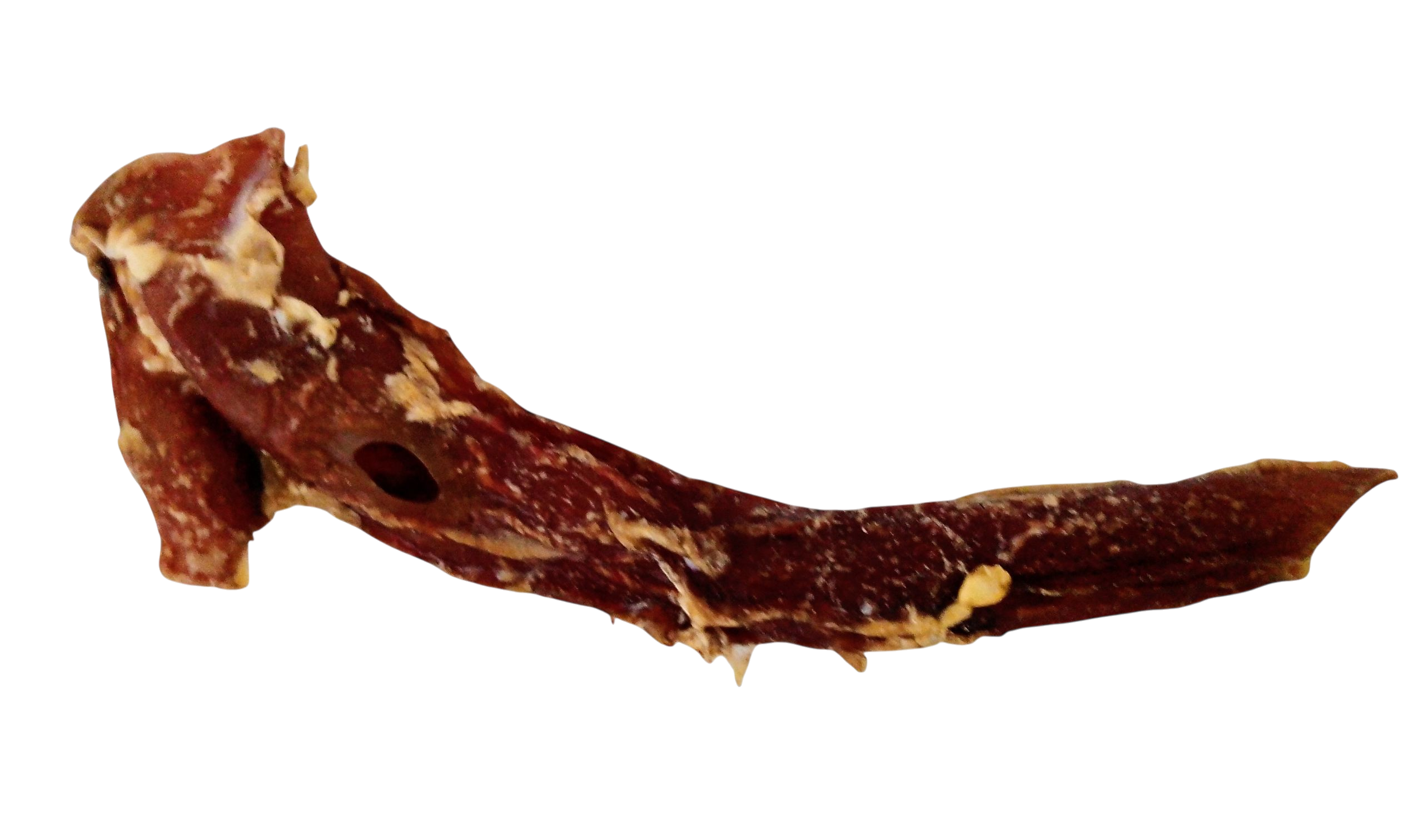 Aorta de ternera 25–30 cm- 1 und