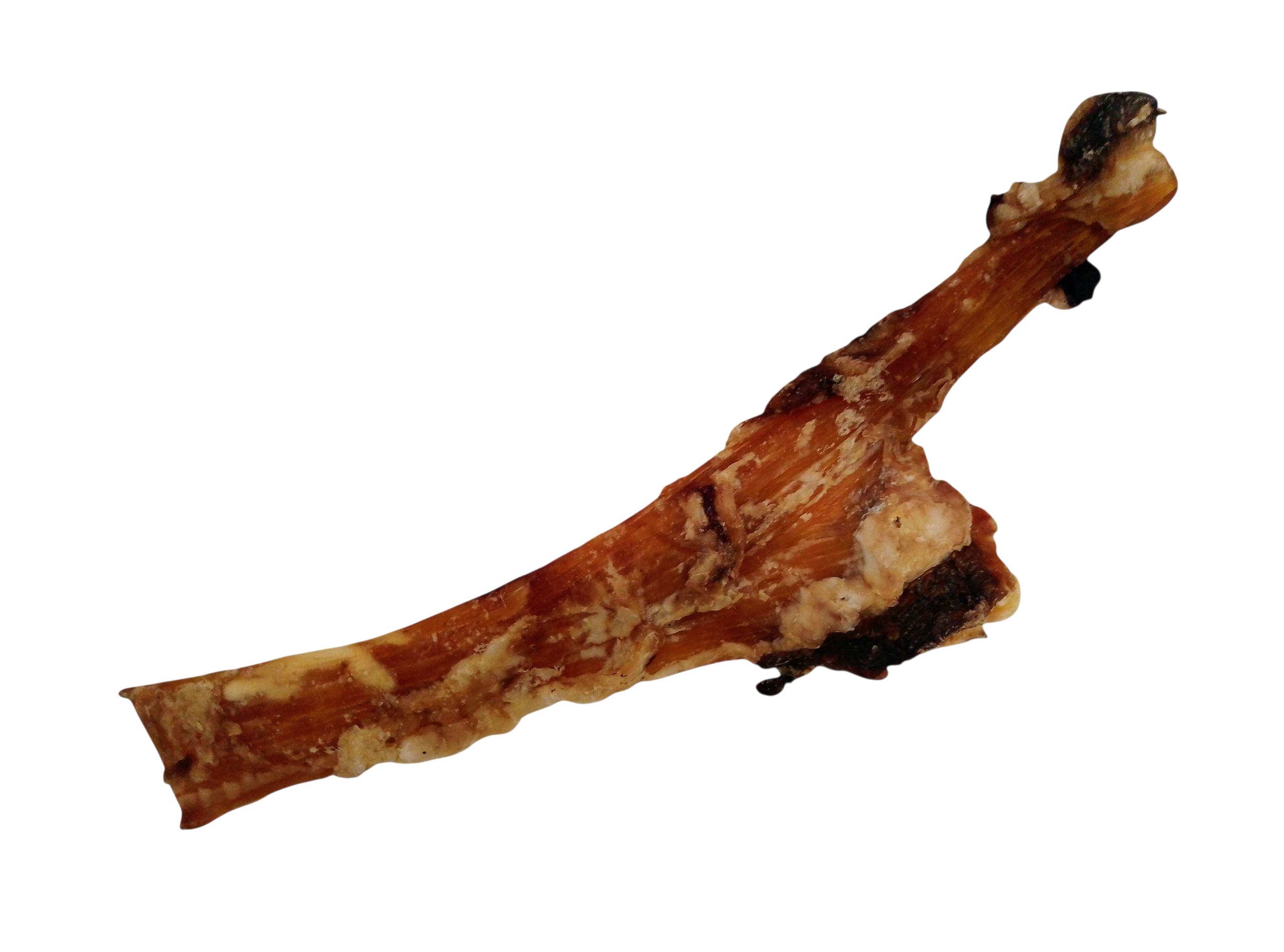 Nervio de ternera 35–40 cm - 1 und