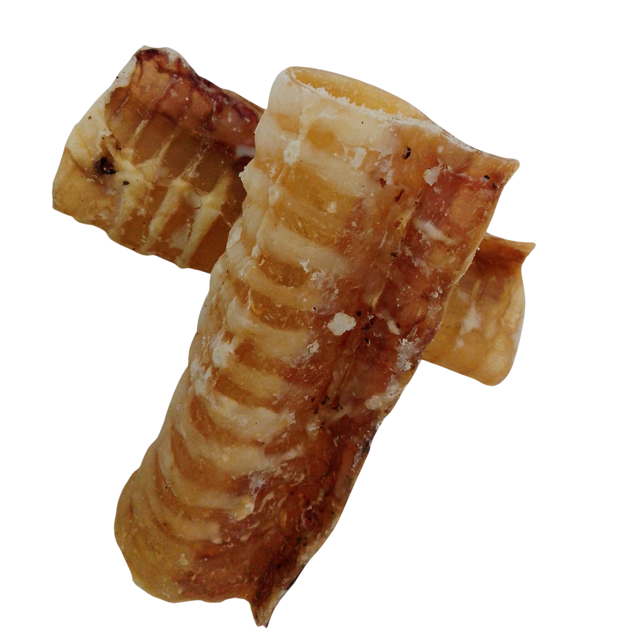 Tráquea de ternera 12 cm - 2 und