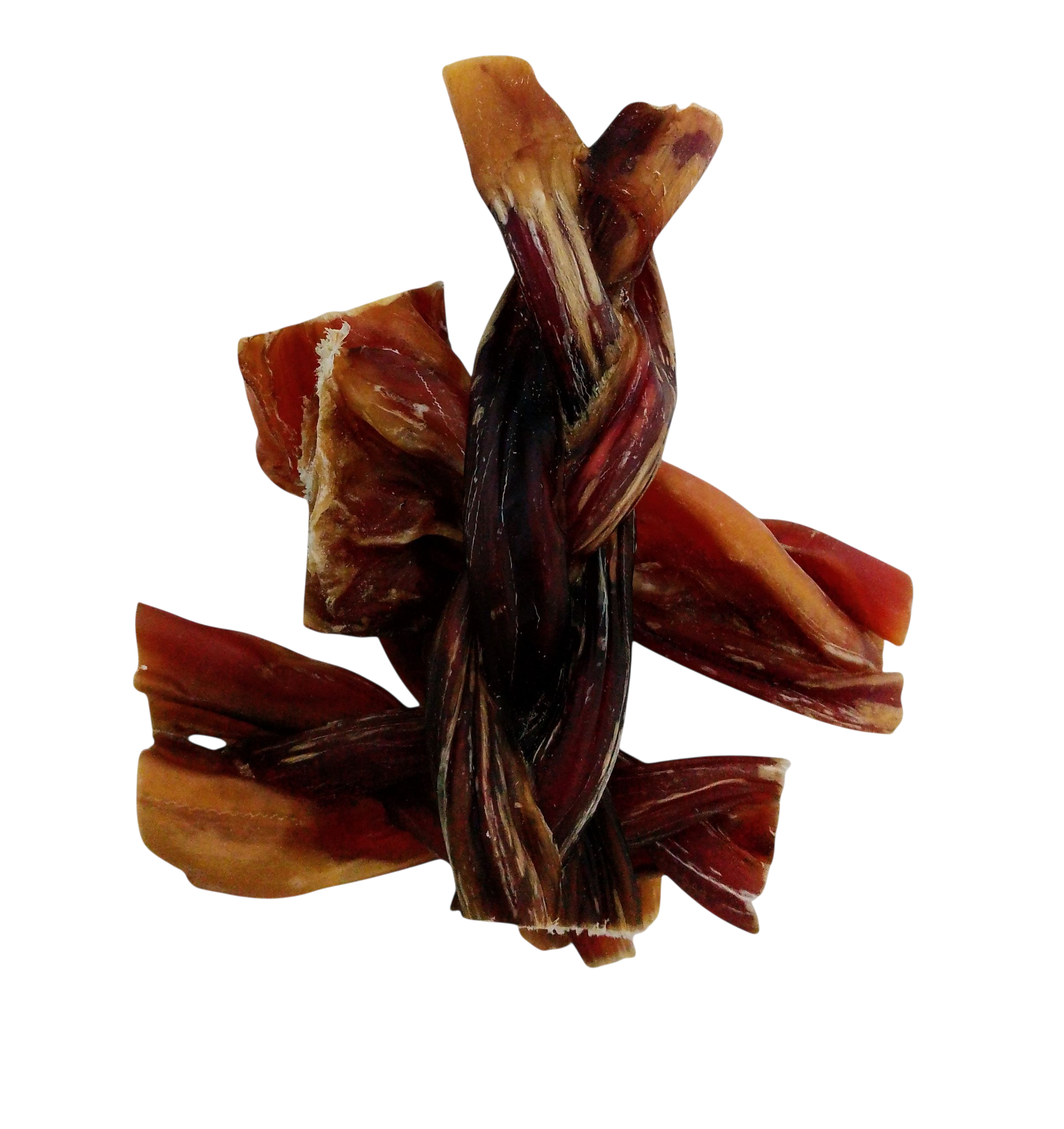 Nervio trenzado de toro 15 cm , 2 unds