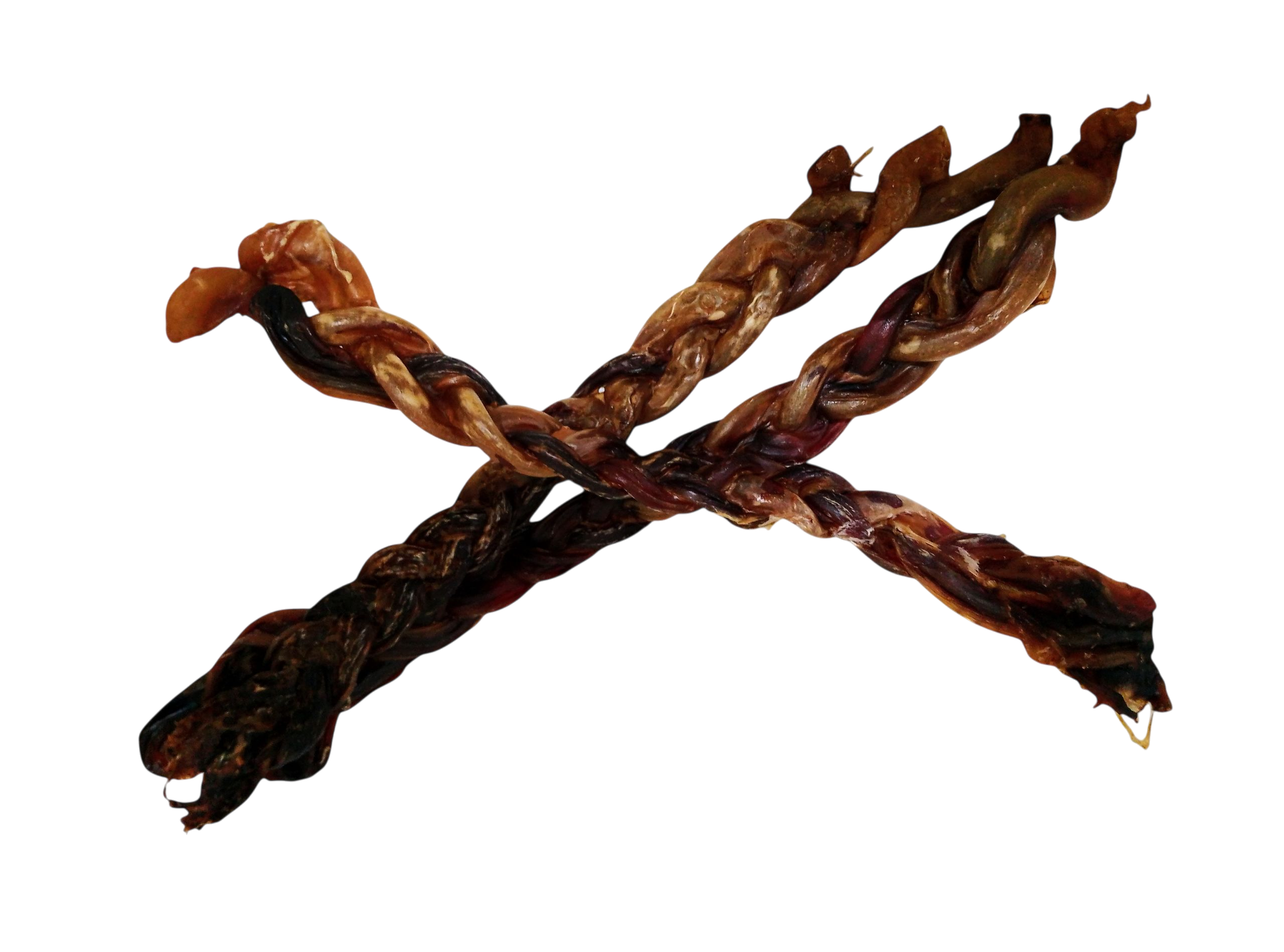 Nervio trenzado de cerdo 30 cm 1 und