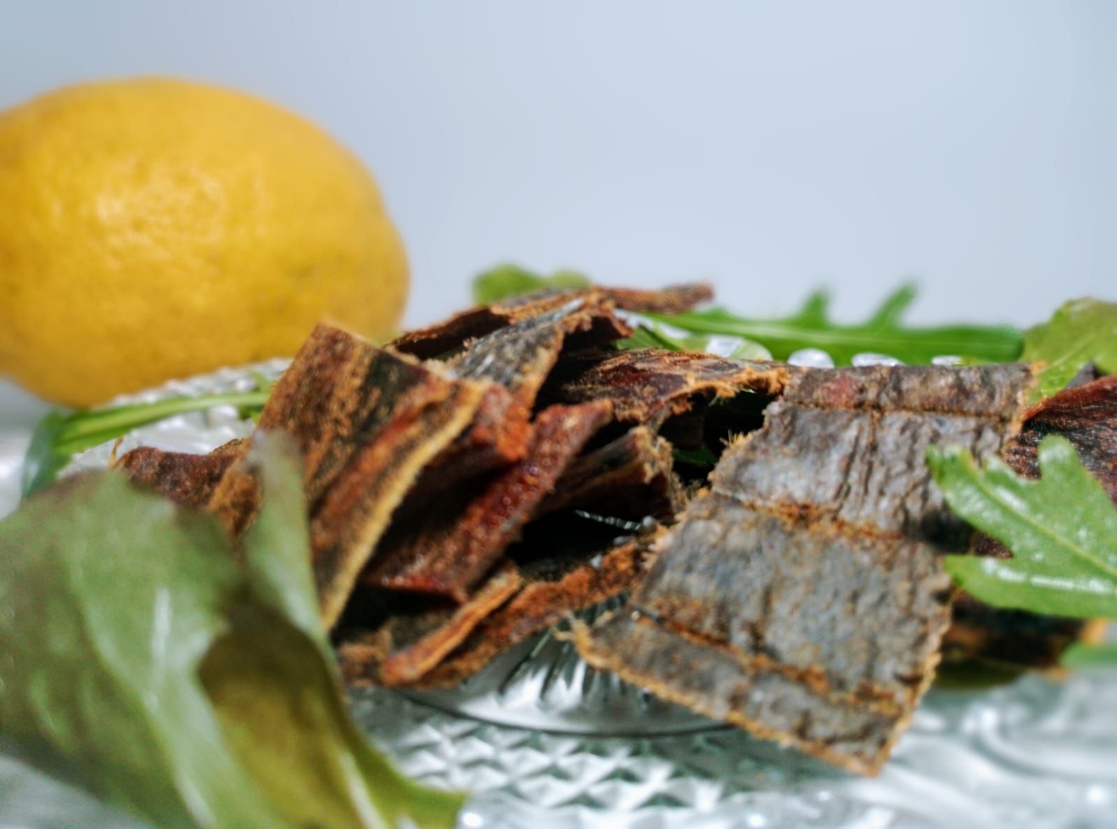 BOCADITOS DE ATÚN DESHIDRATADOS