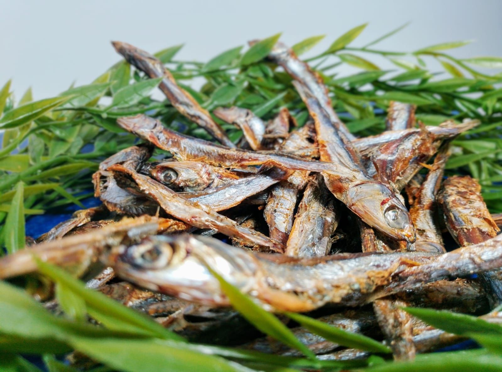 BOQUERONES DESHIDRATADOS